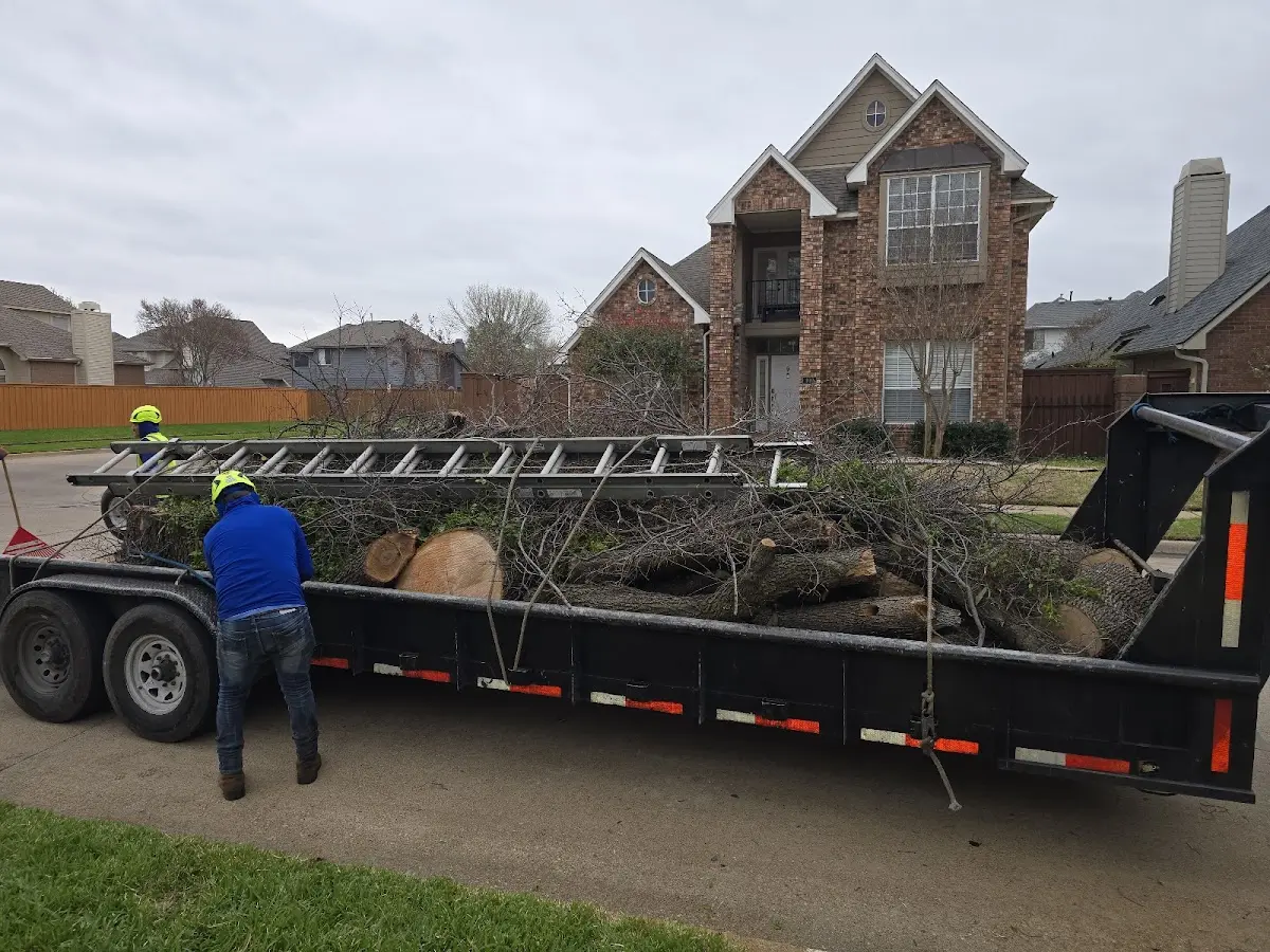 Expert Tree Removal with proper safety equipment in Water Valley